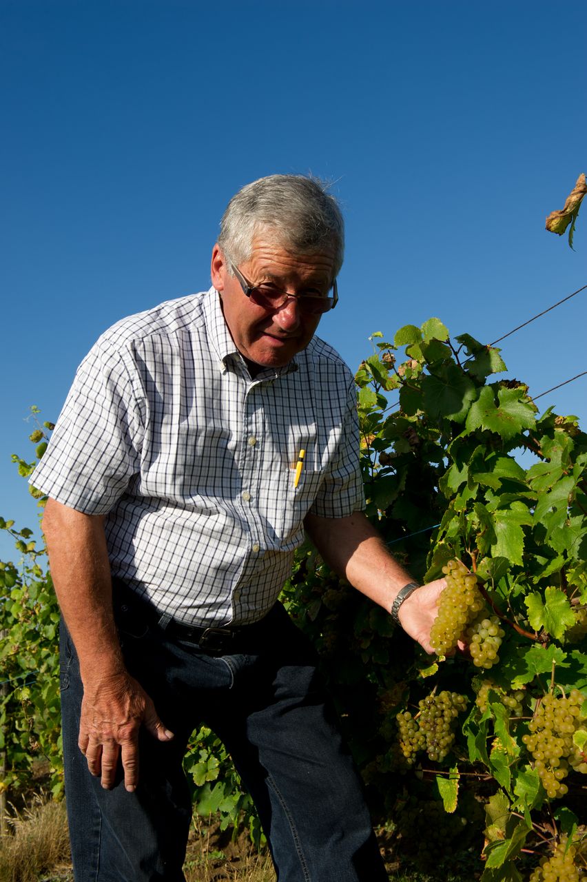Vins Vigneron Pierre Rolet portraitPR-7